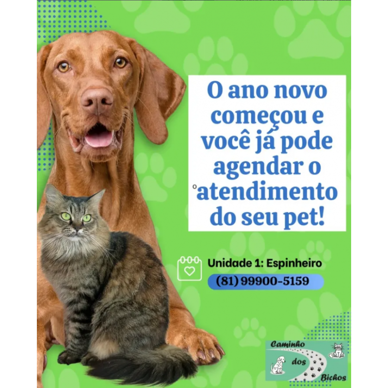 Pet feliz 6
