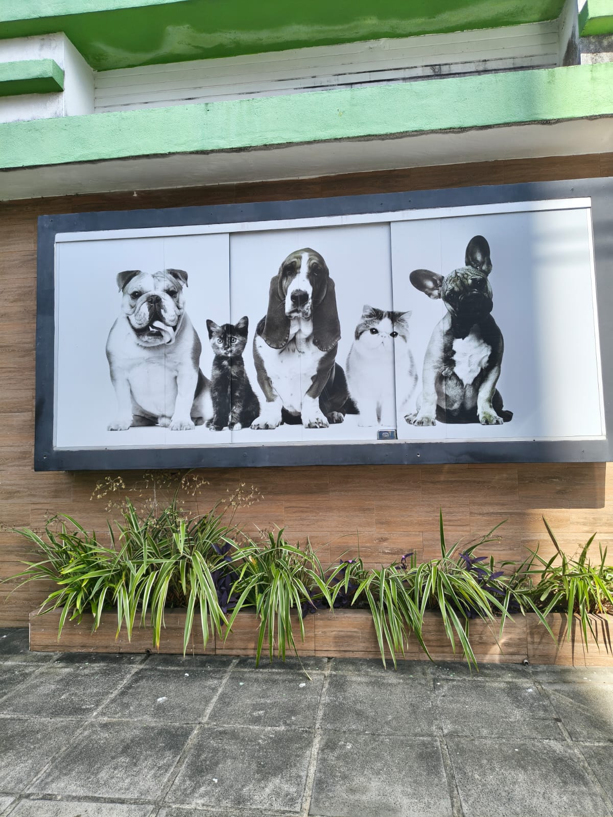 Unidade 1 - Espinheiro - Foto 1