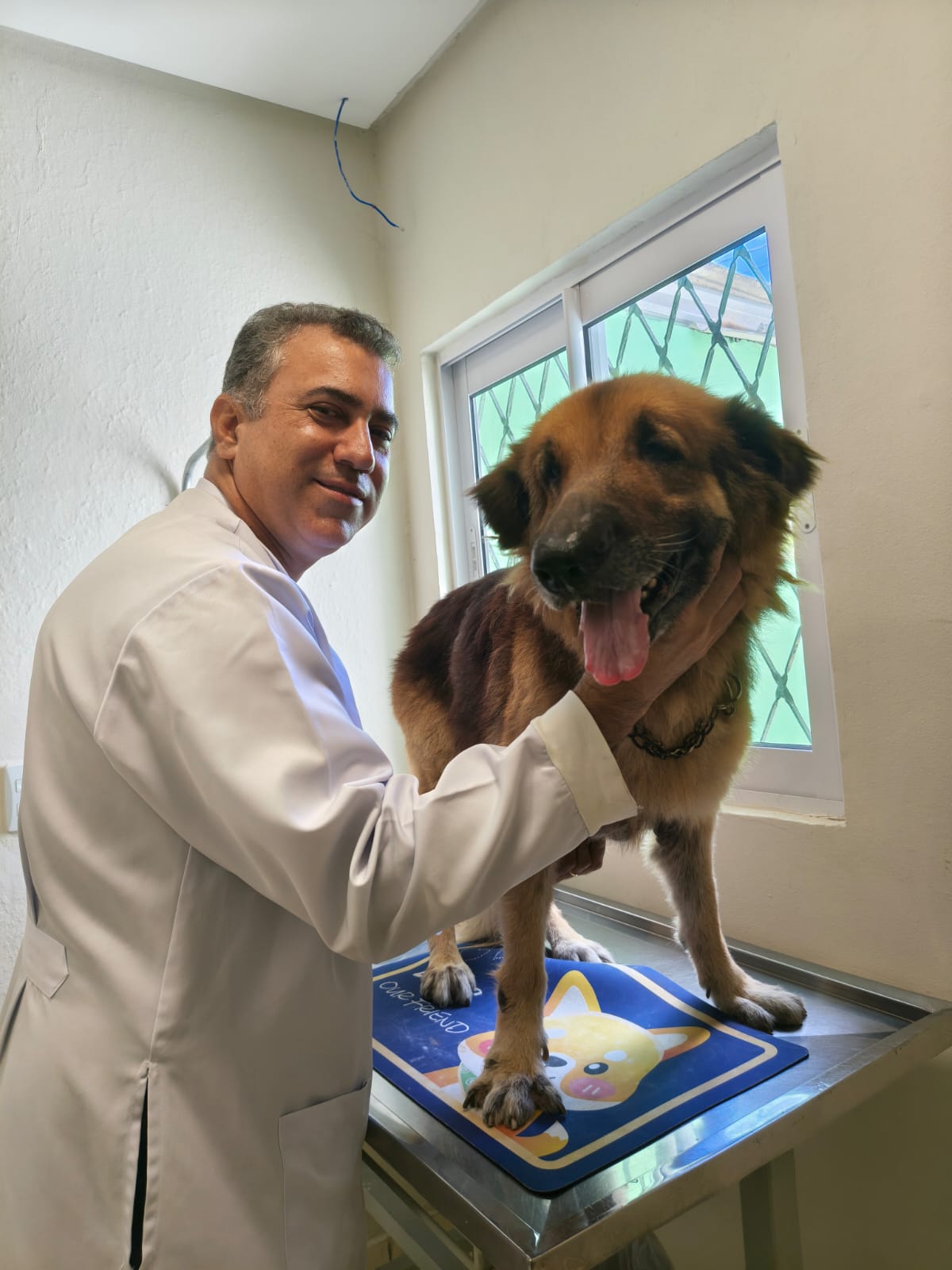 Unidade 2 - Areias - Foto 13