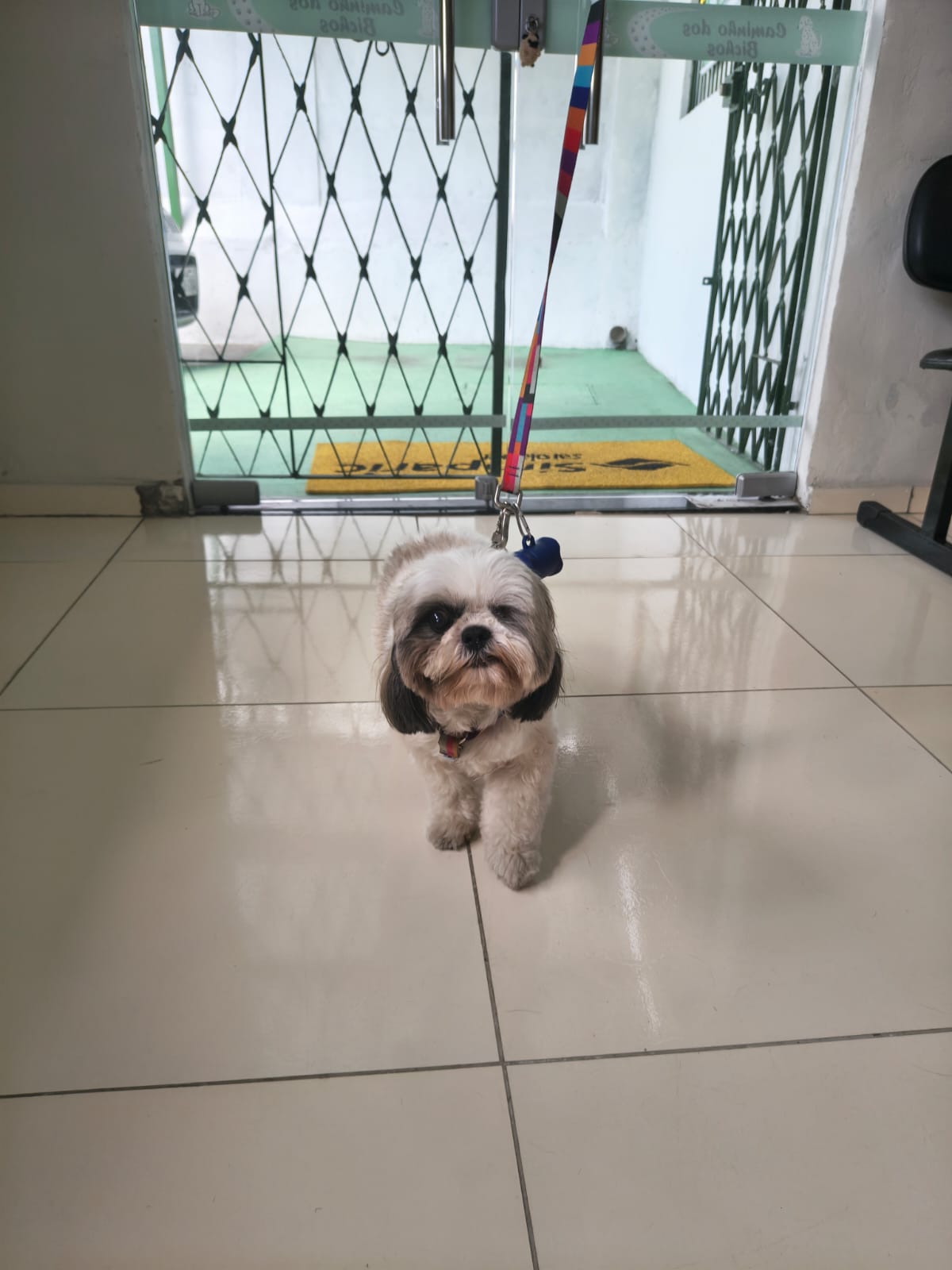 Unidade 2 - Areias - Foto 8