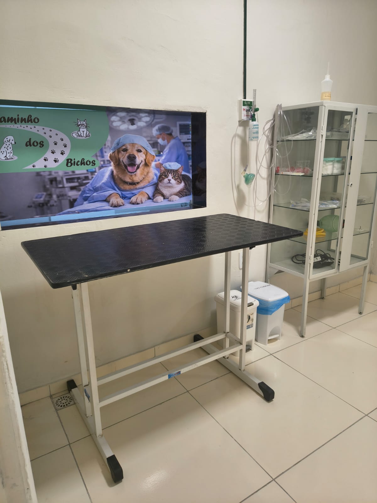 Unidade 2 - Areias - Foto 10